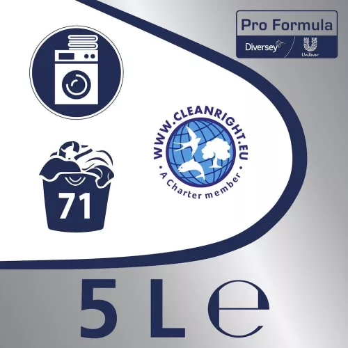 Omo Prof. Active Clean 5 l