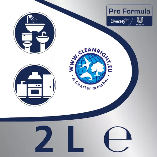 Cif Prof. Cream 2L