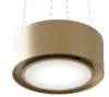 MONNO Piu Light Gold 60 függesztett sziget páraelszívó, 60 cm, érintésmentes vezérlés, arany