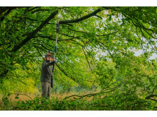 BOSCH Akkus teleszkópos ágvágó 240 - 290 cm GKE 18V-25T ford. sz. (akku és töltő nélkül)