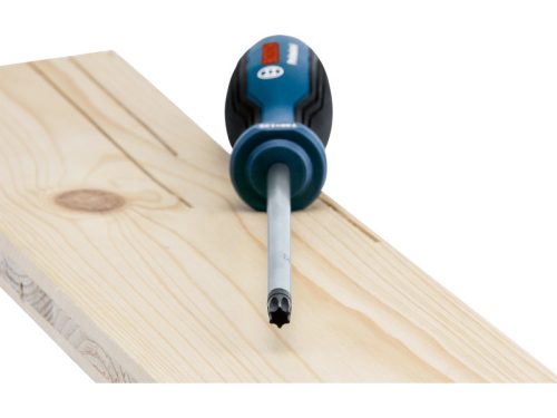 BOSCH Torx csavarhúzó készlet 6 részes S2