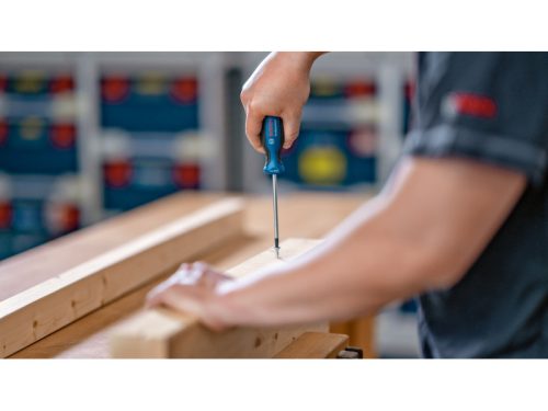 BOSCH Torx csavarhúzó készlet 6 részes S2