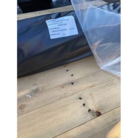 AGROFÓLIA  4200X0,10 NATÚR/50 M