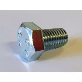 CSAVAR HLF.TM M 12X 20 HORG/100 DB  5.8