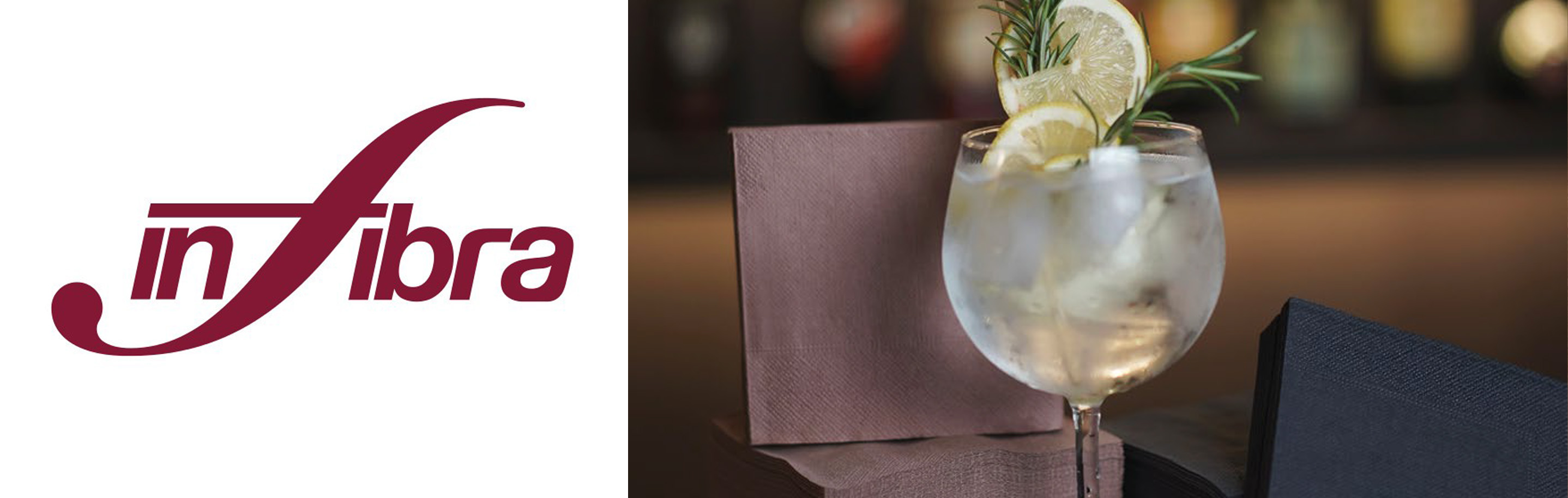 infibra_banner.jpg